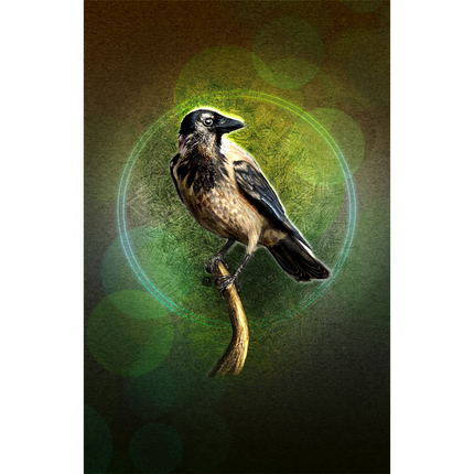 Hooded Crow perched on a branch with a green circular light effect on a dark background