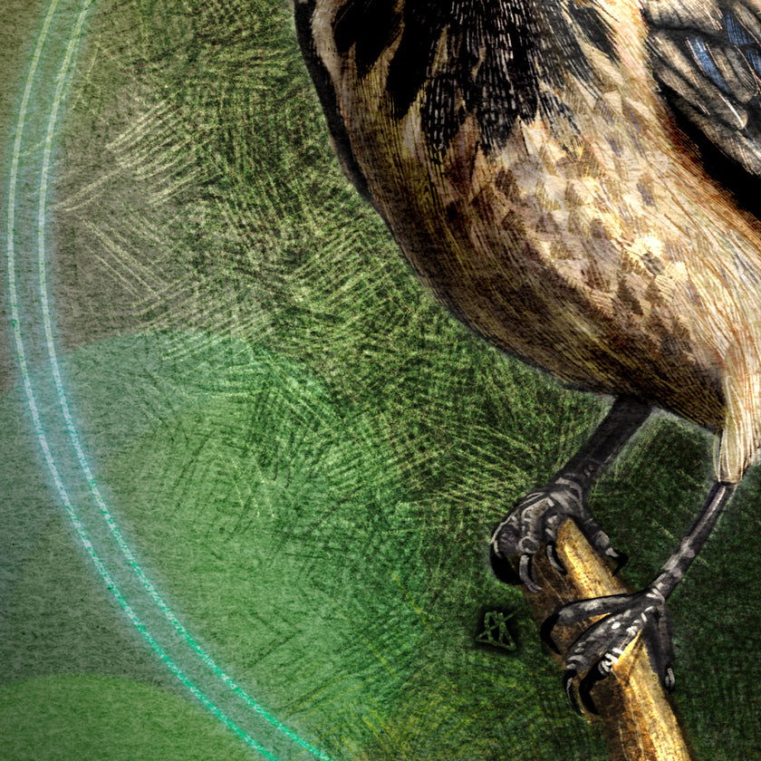 Close-up of a bird perched on a branch with a green gradient background