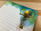 Turquoise-Browed Motmot Tear-Away 5x7