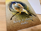 Greeting card with a bird illustration and text 'Keep it classy. mofo.' on a wooden surface.