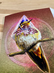 Card with a stylized illustration of a bird on a branch, wearing a purple hat, on a brown background.