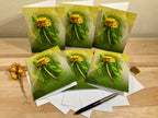 Set of greeting cards with dandelion design on a wooden surface.