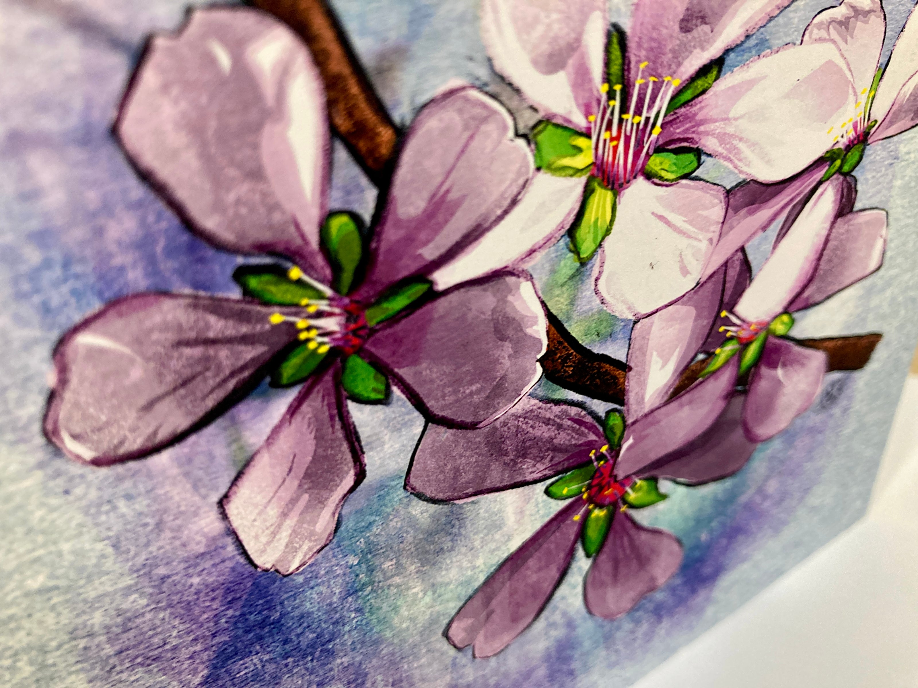 Close-up of pink cherry blossoms with a watercolor background