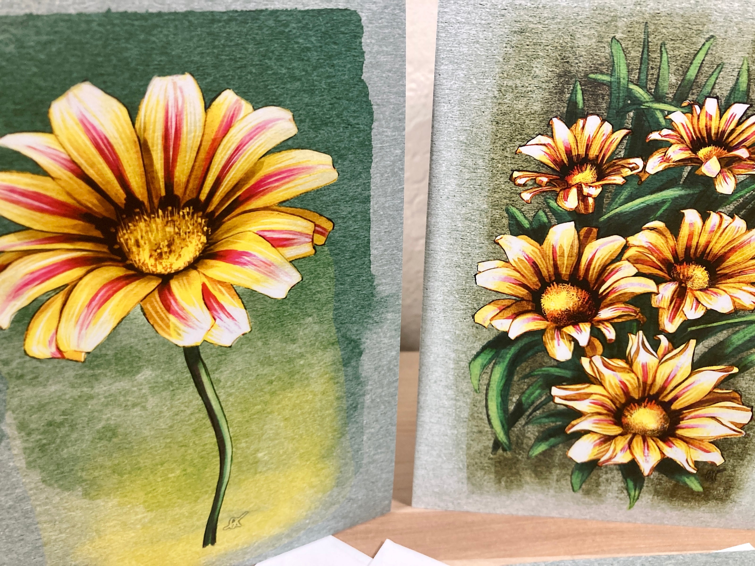 Two floral illustrations of sunflowers on a textured surface.