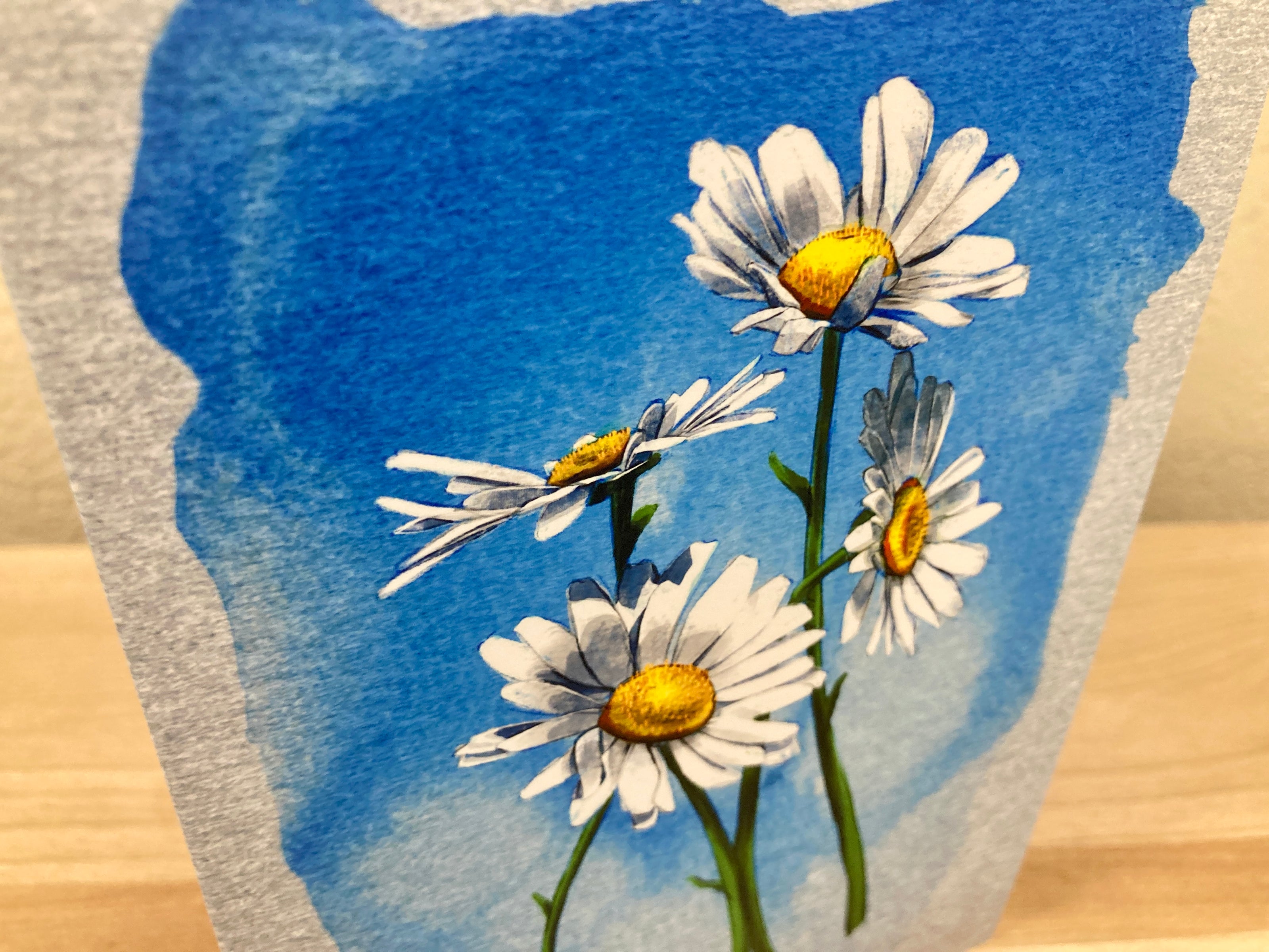 Artistic depiction of daisies with a blue watercolor background