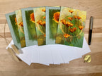 Set of greeting cards with floral design on a wooden surface