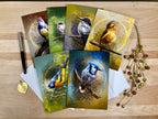 Set of greeting cards with bird illustrations on a wooden surface.