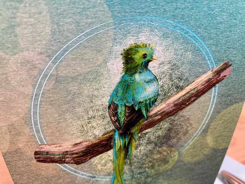 Colorful bird perched on a branch with a textured background