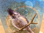 Illustration of a bird perched on a branch with a textured background