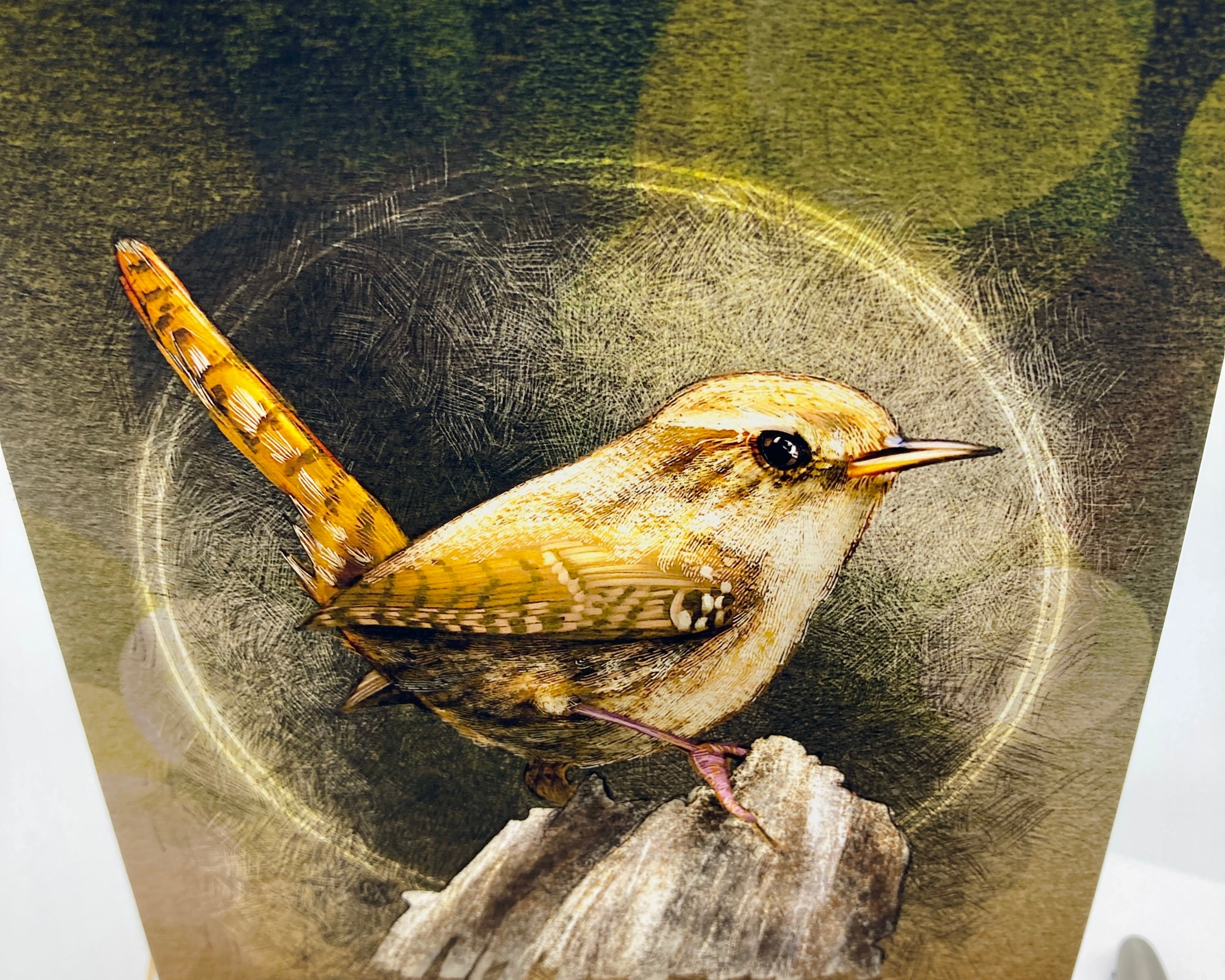 Illustration of a bird on a textured background