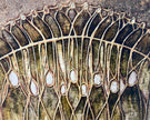 Artistic depiction of a butterfly wing with intricate patterns