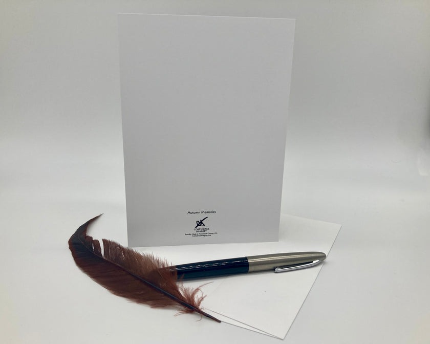 Feather pen and letterhead on a white background