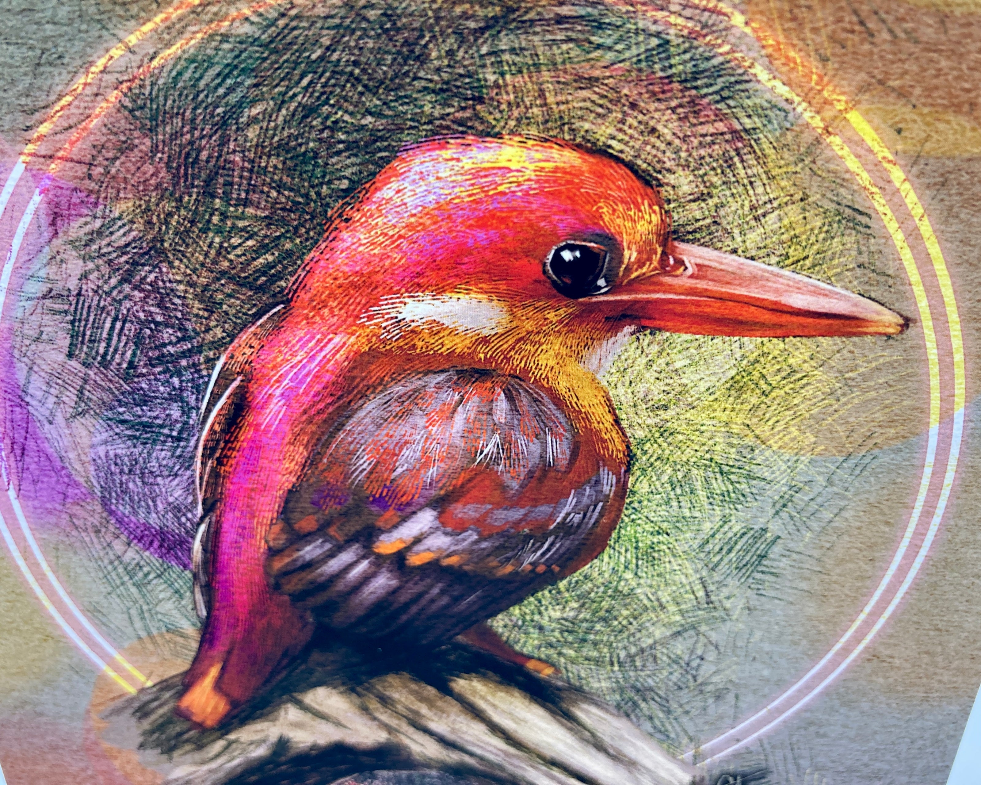 Colorful illustration of a kingfisher on a textured background