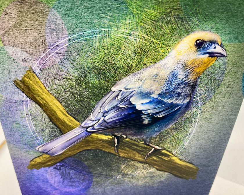 Colorful bird illustration on a textured background