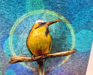 Colorful bird illustration on a textured blue background