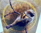 Illustration of a bird on a branch with a textured brown background