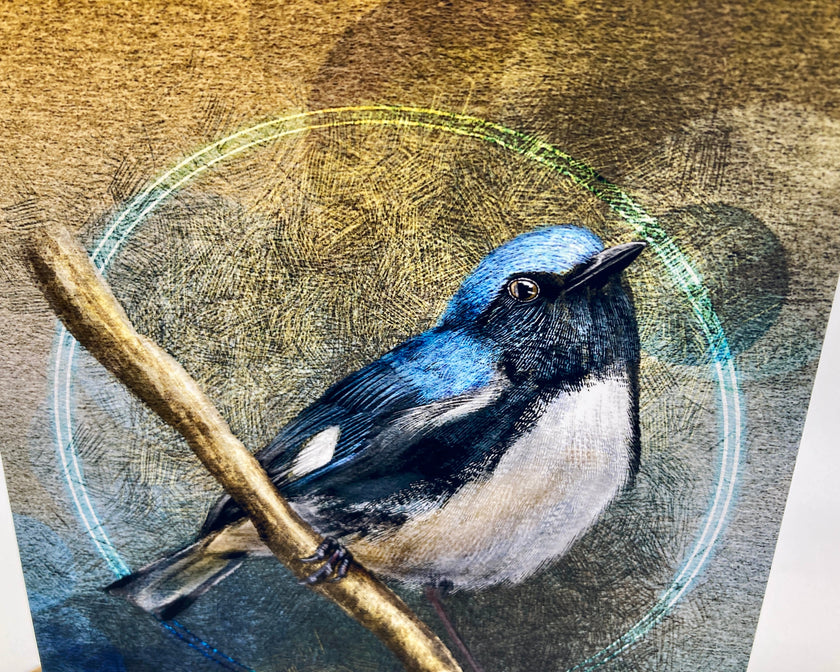 Illustration of a blue and white bird on a branch with a textured background