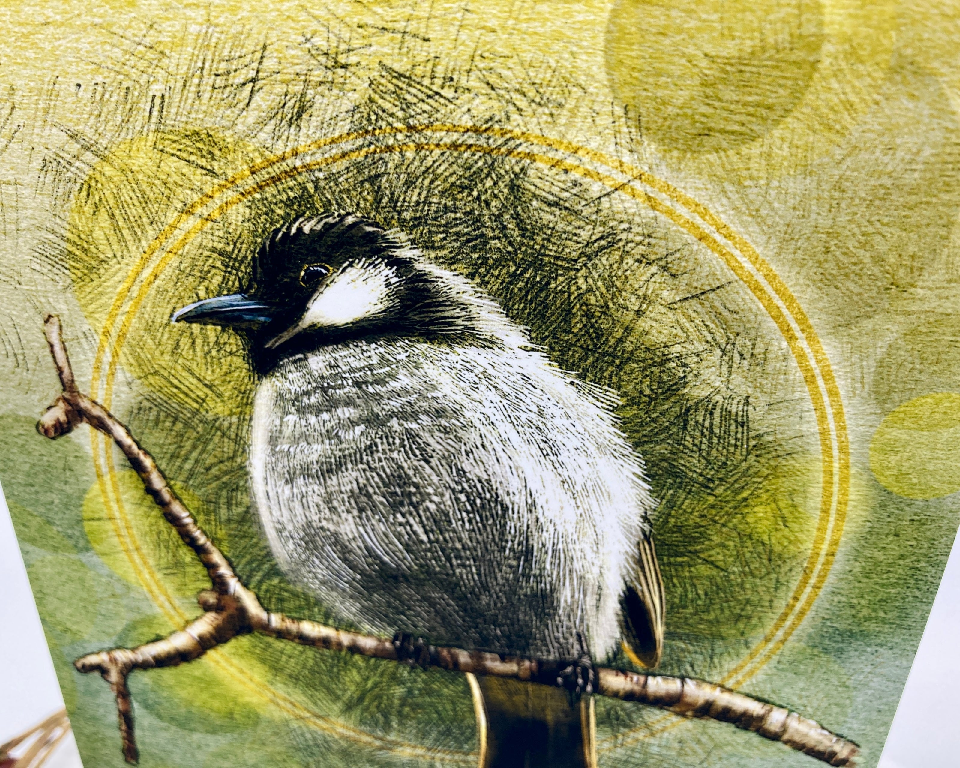 Illustration of a bird perched on a branch with a textured green background
