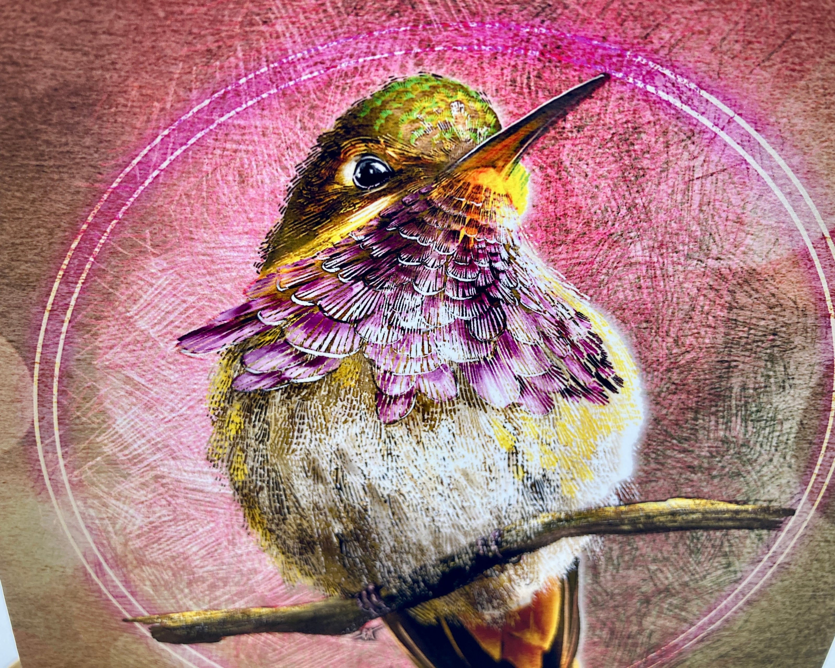 Hummingbird illustration on a pink and brown circular background