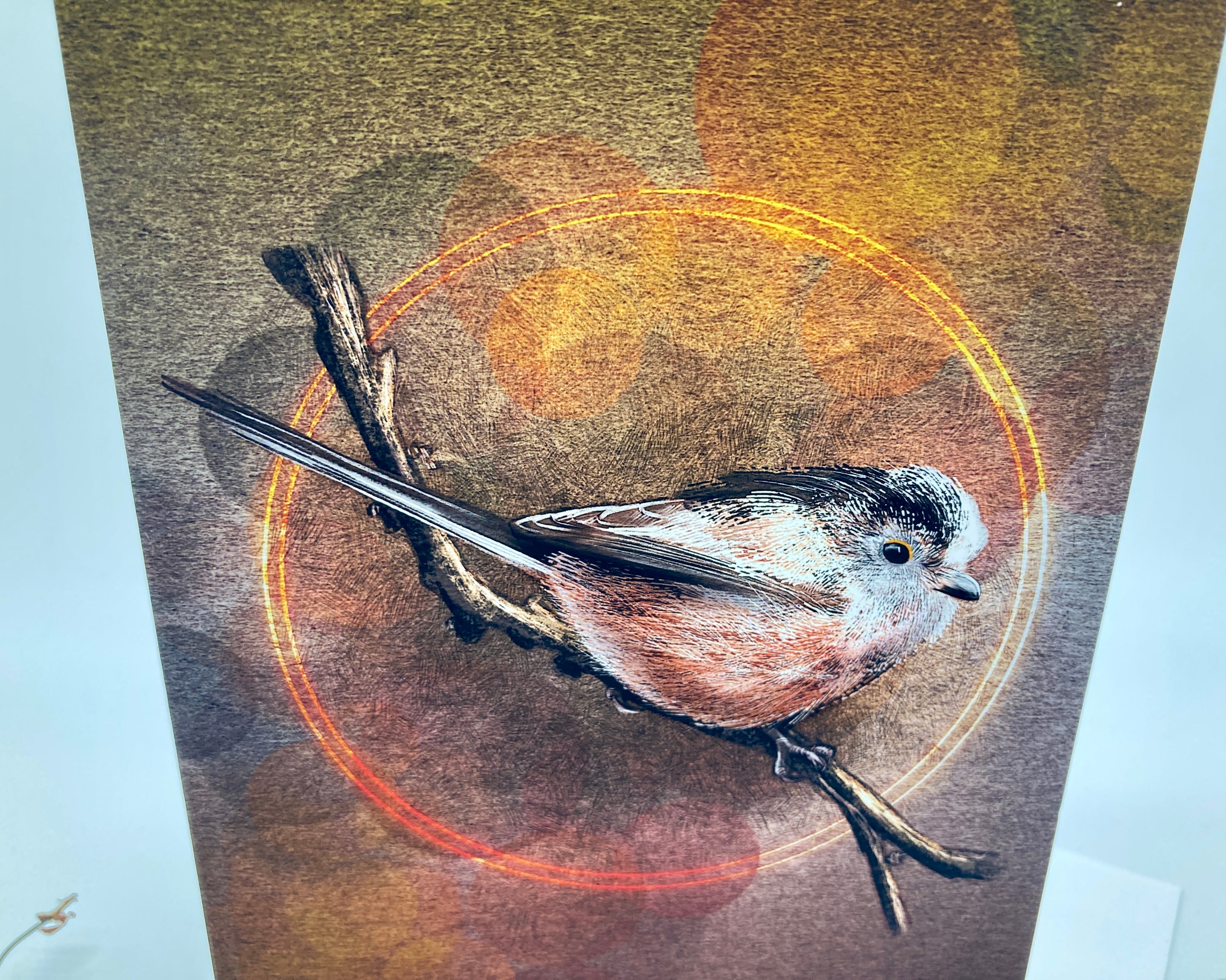 Artistic depiction of a bird on a branch with a circular orange frame on a textured brown background