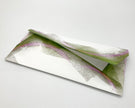 Volcano Hummingbird Stationery Paper Pack