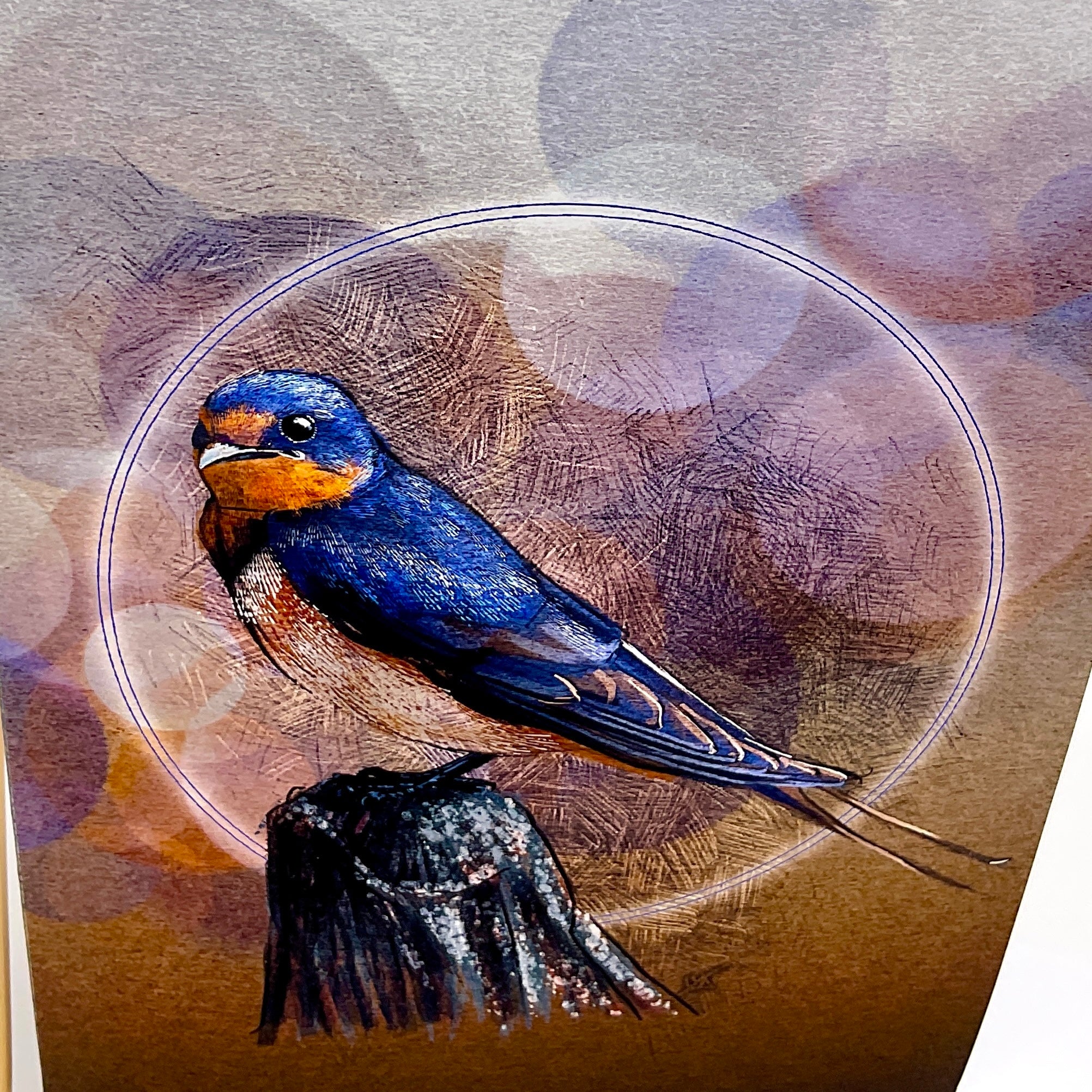 Barn Swallow Single Greeting Card