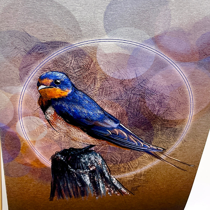 Barn Swallow Single Greeting Card