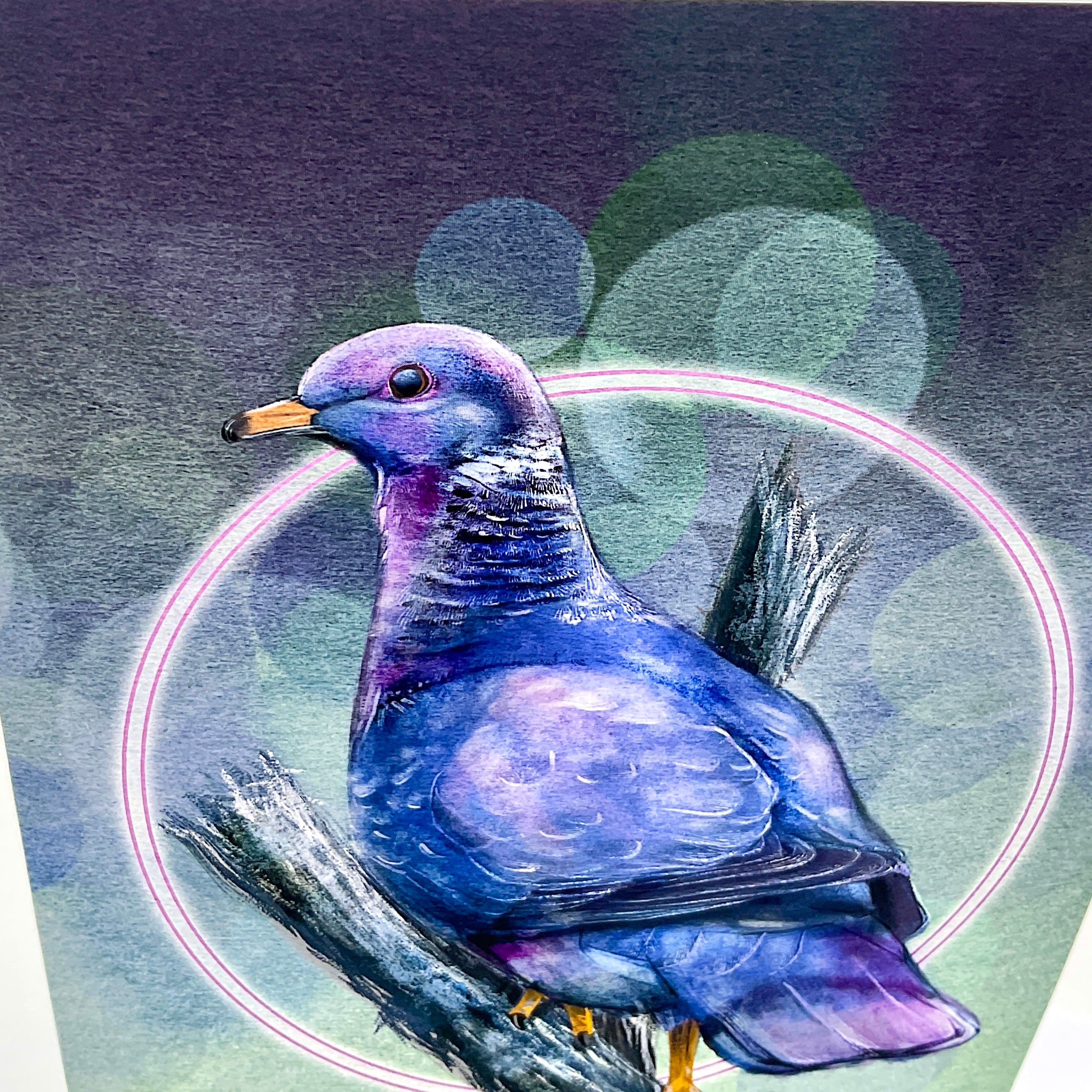 Pigeon Single Greeting Card