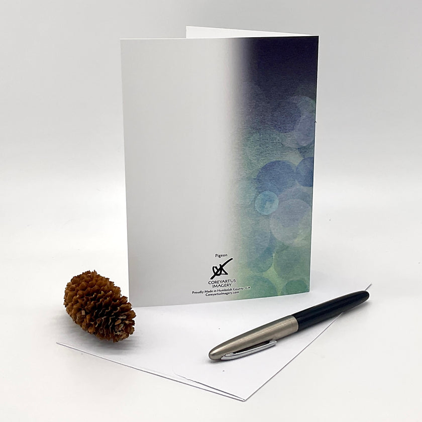 Pigeon Single Greeting Card