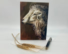 Greeting card with a sheep illustration on a white background with wheat and a pen.