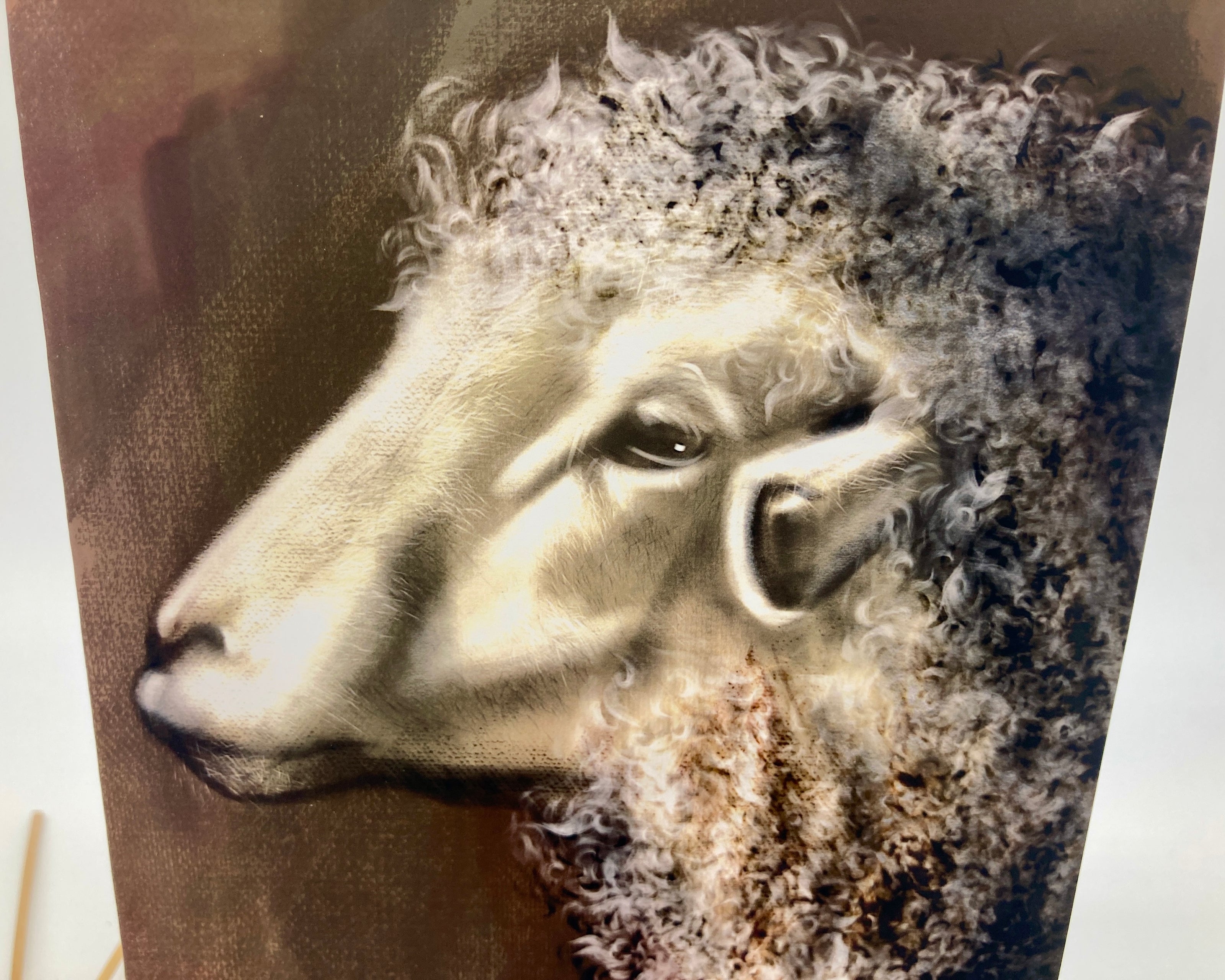 Close-up of a sheep's face with detailed wool texture on a brown background