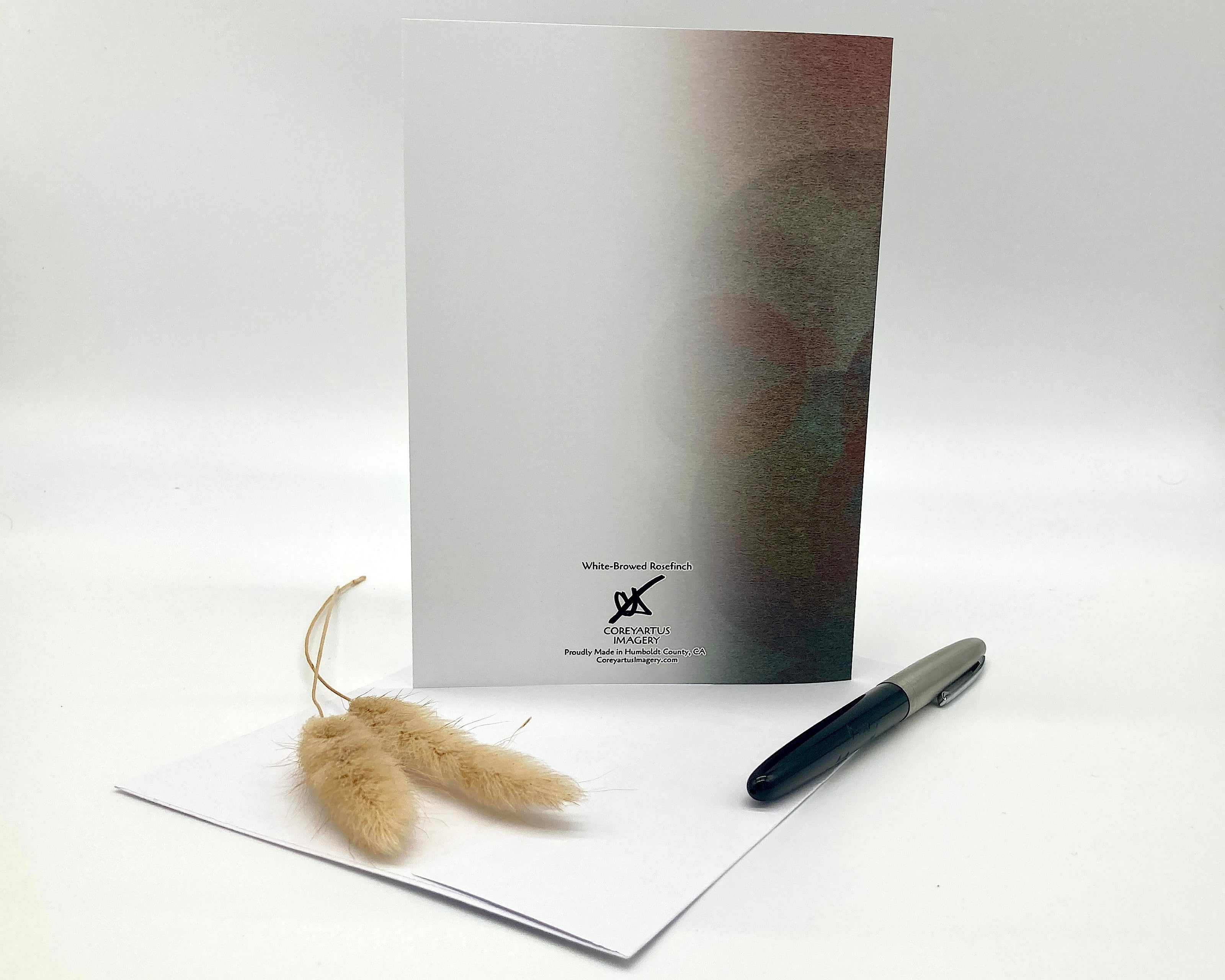Back of a greeting card with pen and decorative plant on a white background