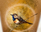 Bird illustration on a textured brown background