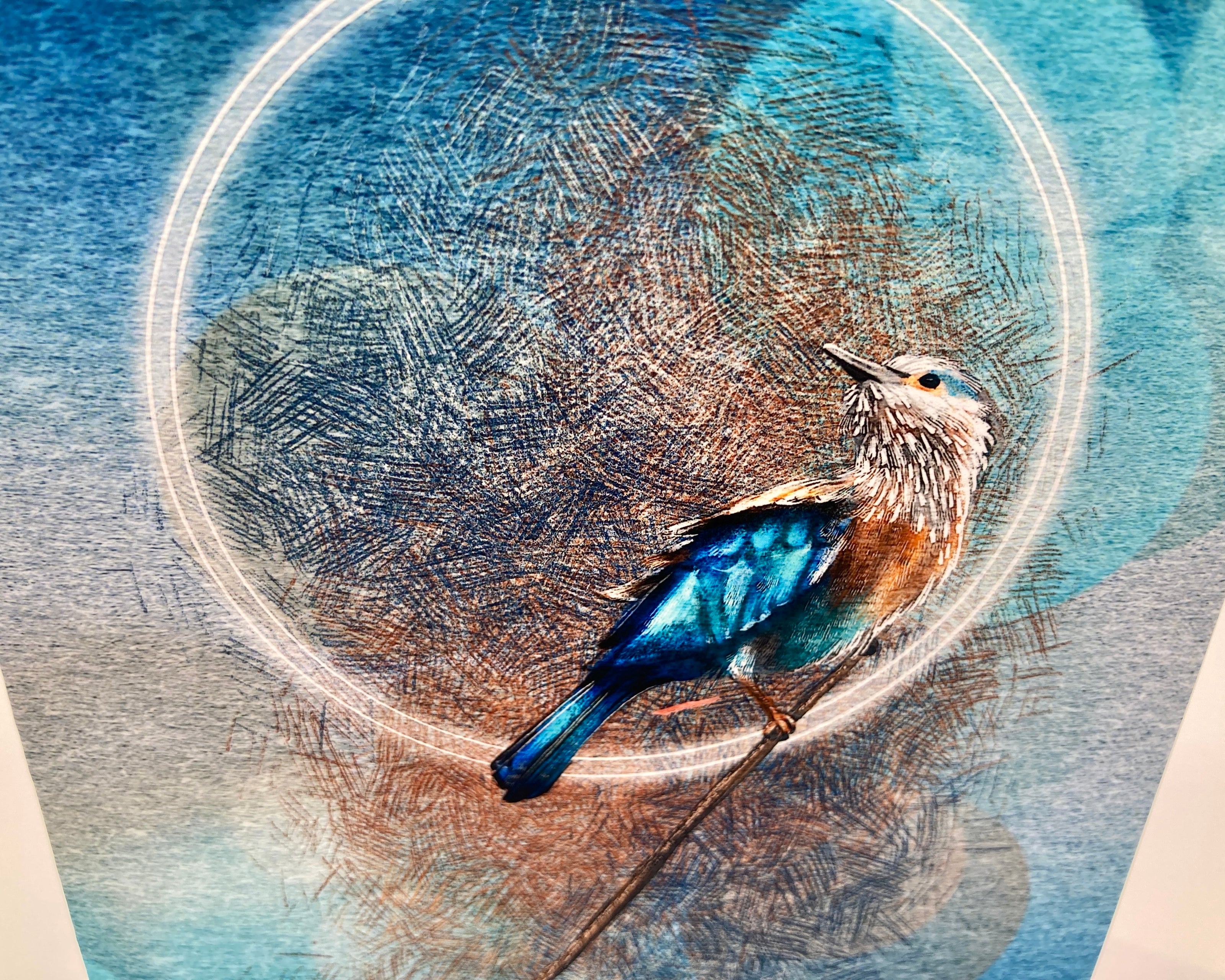 Blue bird on a textured blue background