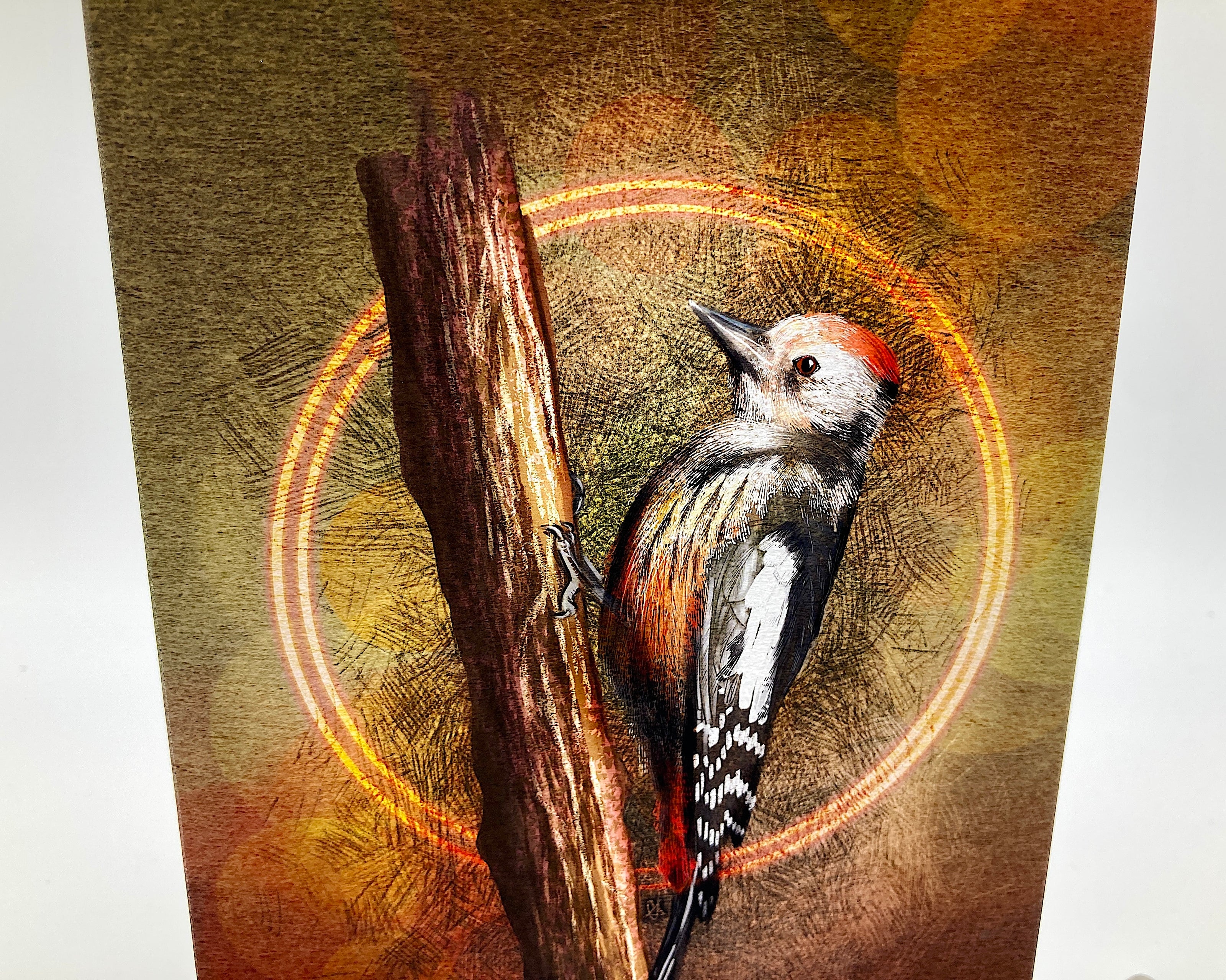 Illustration of a bird perched on a branch with a warm, circular glow.
