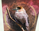 Illustration of a bird on a branch with a circular design in the background