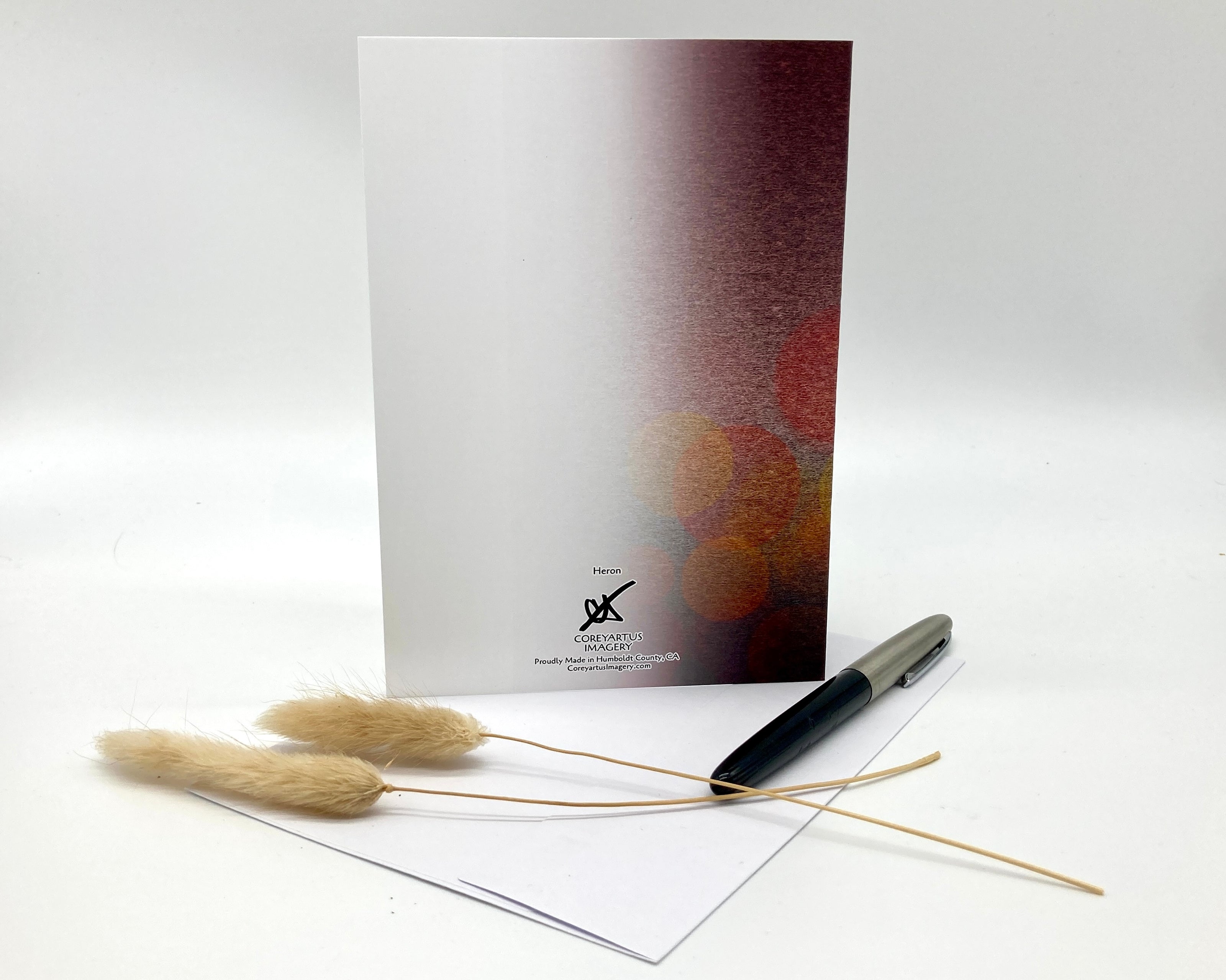 Back of a greeting card with pen and dried plants on a white background