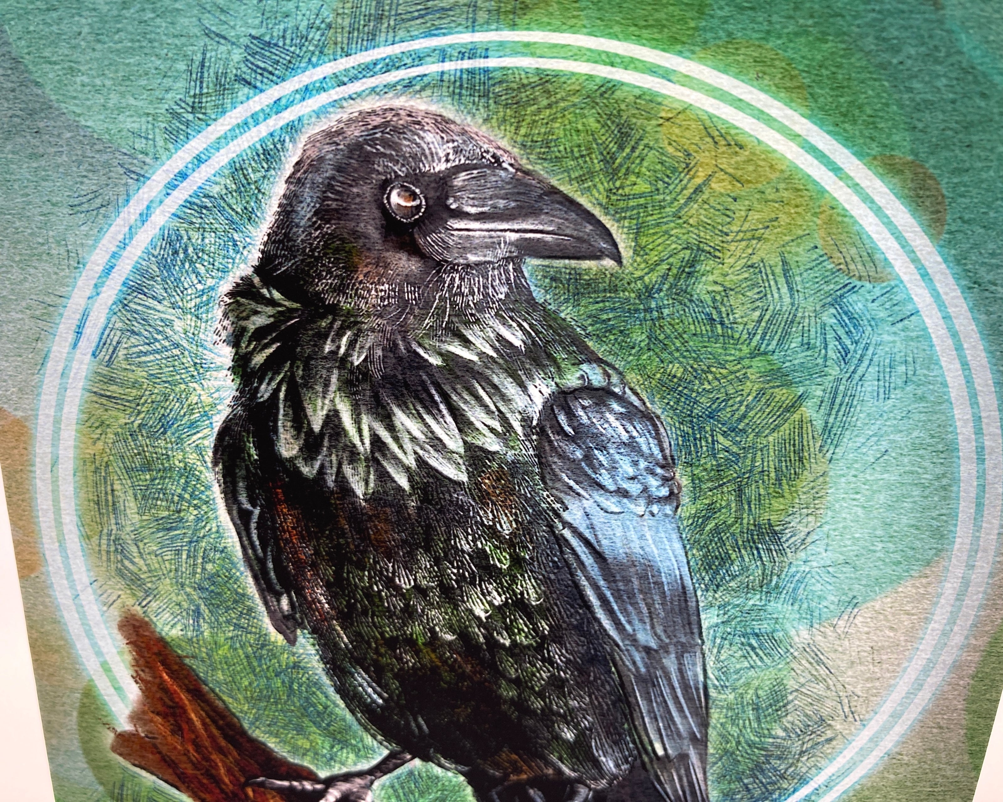 Illustration of a raven with a circular frame on a textured background