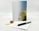 Back of a greeting card with a shell and pen on a white background