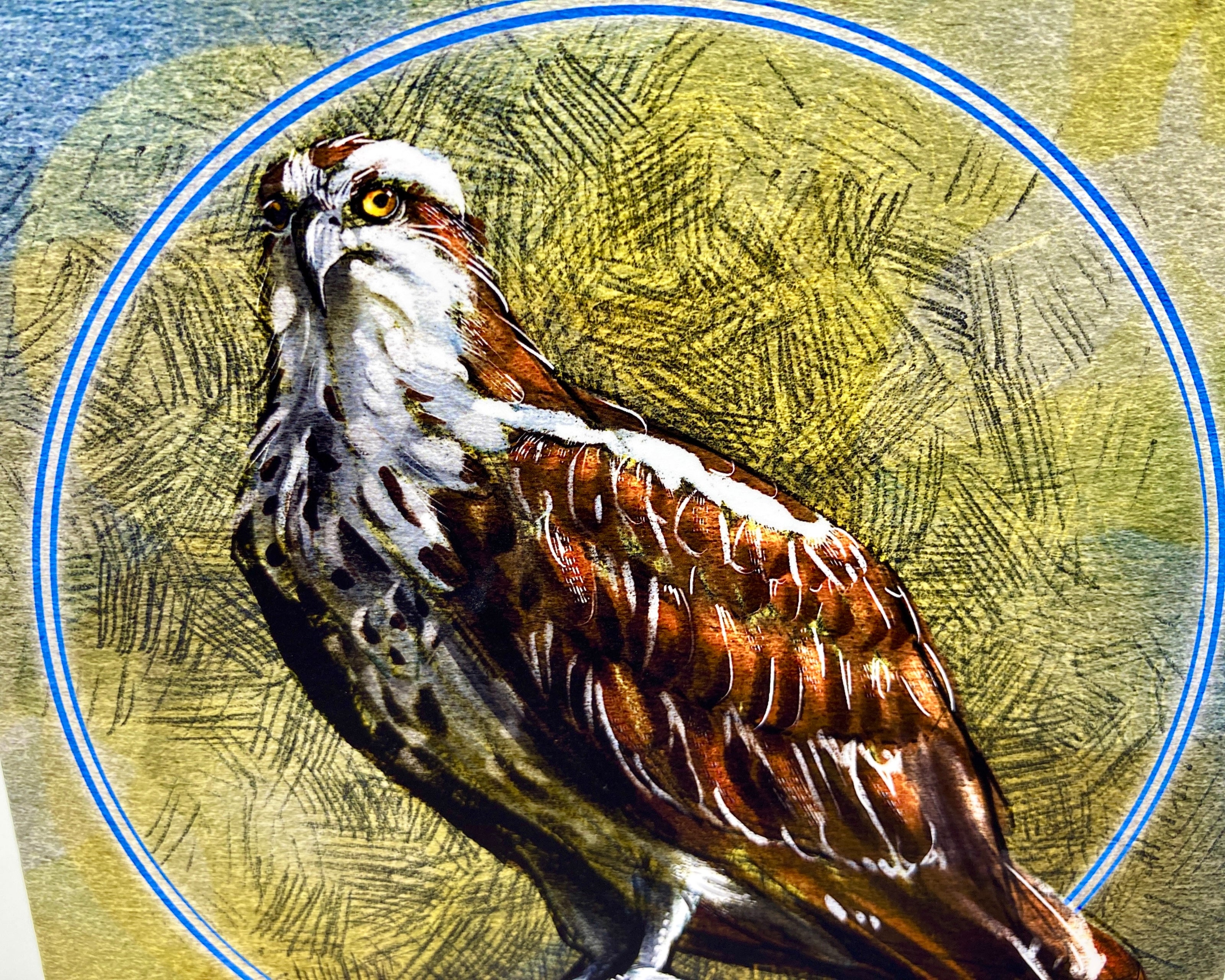 Illustration of a bird with a textured circular background