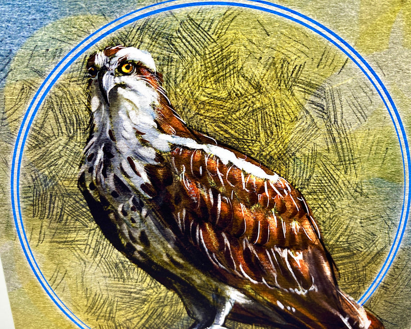 Illustration of a bird with a textured circular background