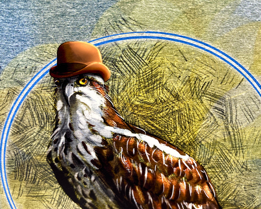 Hawk wearing a hat with a textured circular border