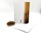 Greeting card with envelope and pine cone on a white background