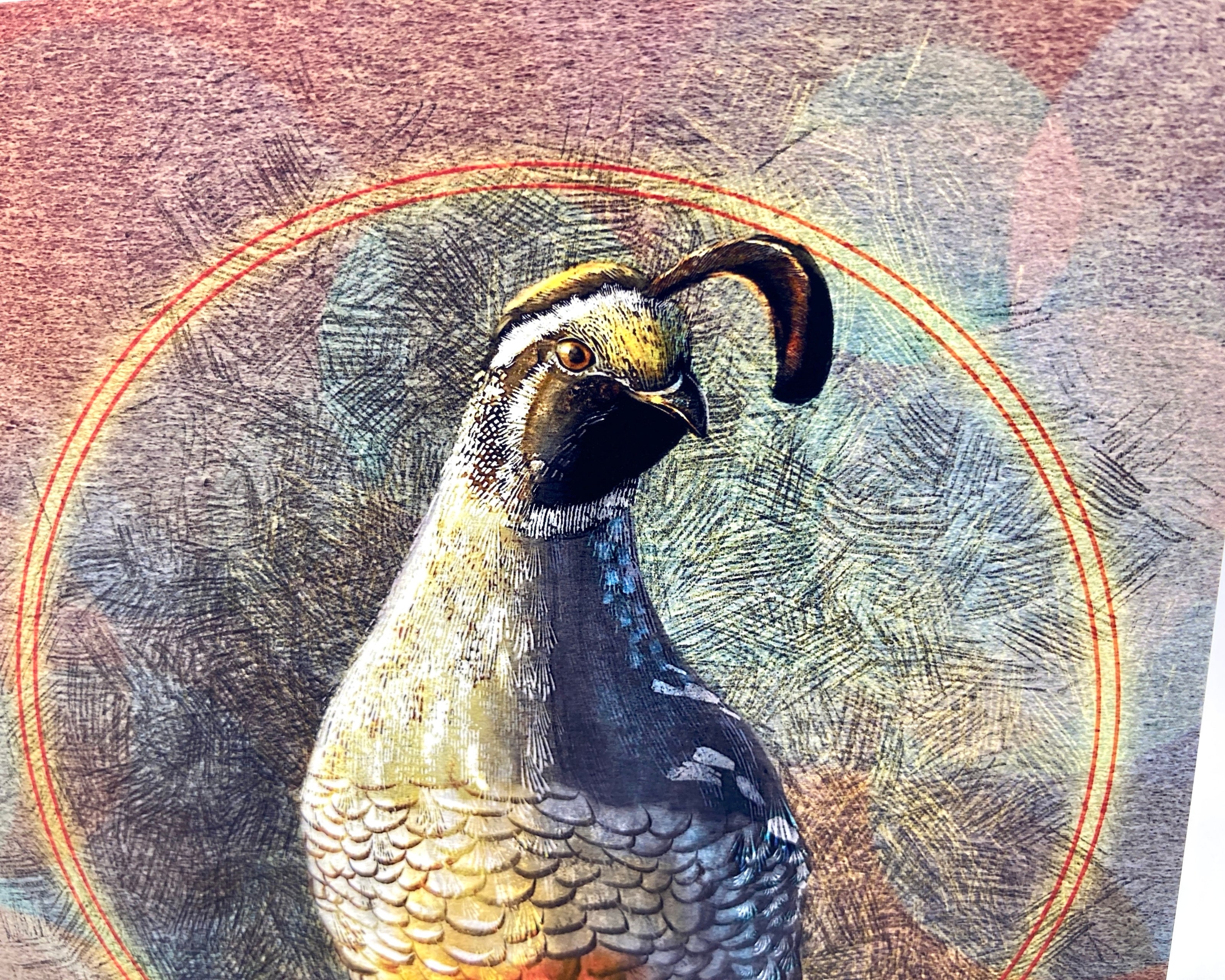 Illustration of a bird with a textured circular background
