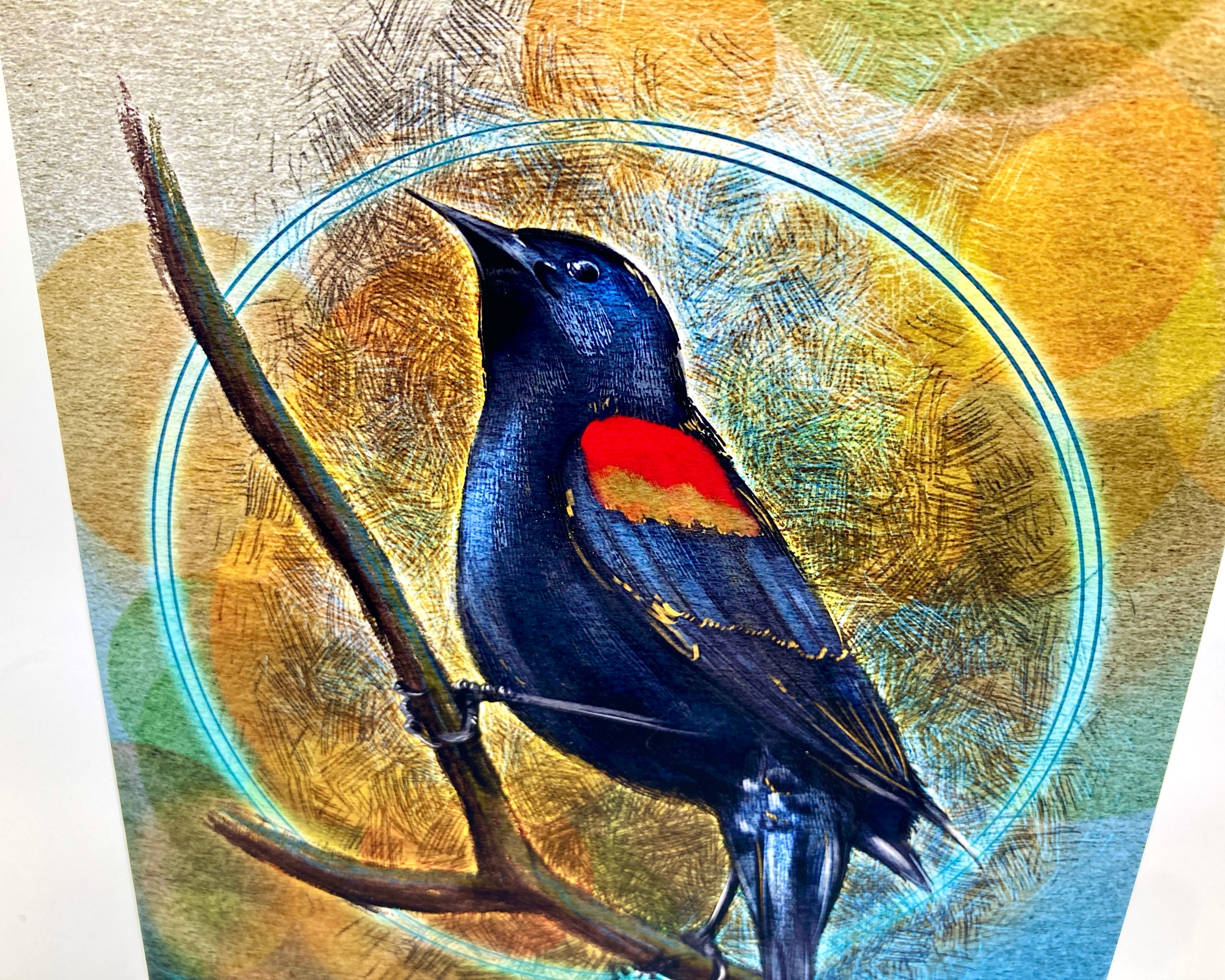 Red-Winged Blackbird Single Greeting Card