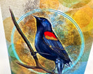 Red-Winged Blackbird Single Greeting Card