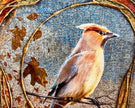 Bird perched on a branch with autumn leaves and textured background