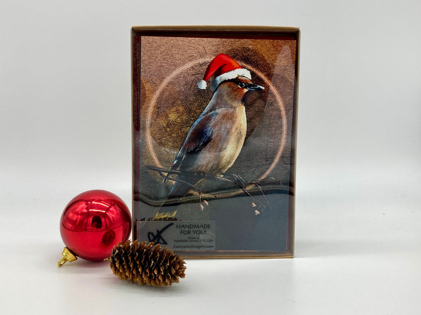 case of cards with a bird wearing a Santa hat, next to a red ornament and pine cone on a white background