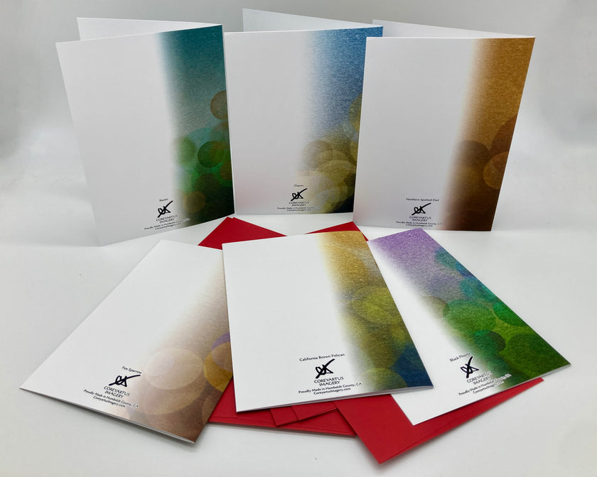 Backside of six greeting cards with artistic designs on a gray background