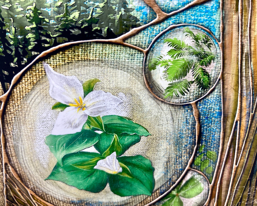 Illustration of a white flower with green leaves through a magnifying glass, surrounded by natural elements.